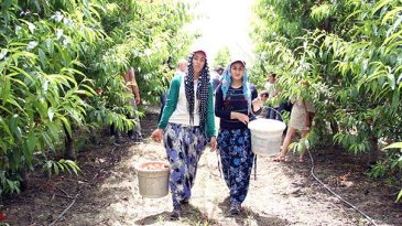 Ekmek parası için gece 03.30’da kalkıp yollara düşüyorlar