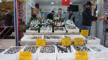 Fiyatı 10 liraya sabitlendi! Talep patladı…
