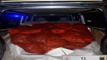 Erdek ve Burhaniye de kaçak midye ve sünger avcılığıyla mücadele