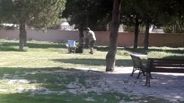 Burhaniye de öğretmenler çim biçti