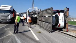 Devrilen tırda yüklü 8 yeni araçta hasar oluştu