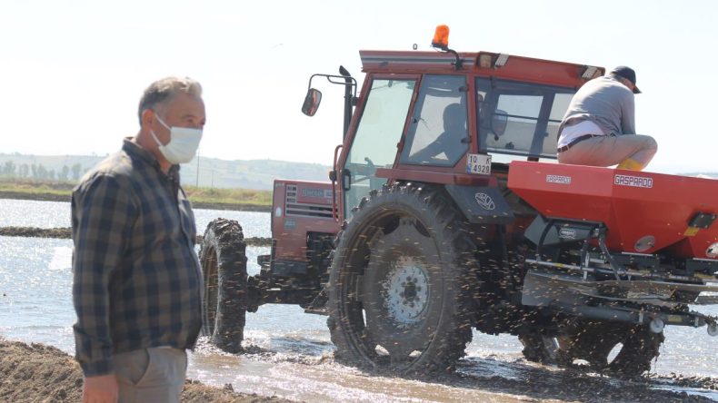 Balıkesir de çeltik üreticilerinin ekim mesaisi
