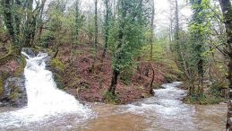 Kuraklık alarmı veren Kazdağları’ndan sevindiren görüntü