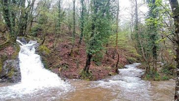 Kuraklık alarmı veren Kazdağları’ndan sevindiren görüntü