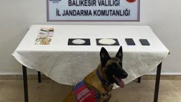 Balıkesir’de jandarmadan uyuşturucu operasyonu