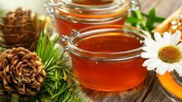 Çam Balı mı, Çiçek Balı mı?